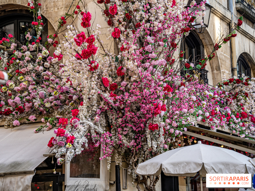 Les cafés fleuris de Paris