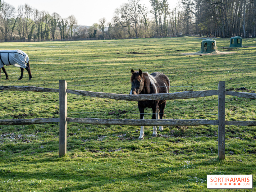 Le domaine du Chateau de Dampierre 