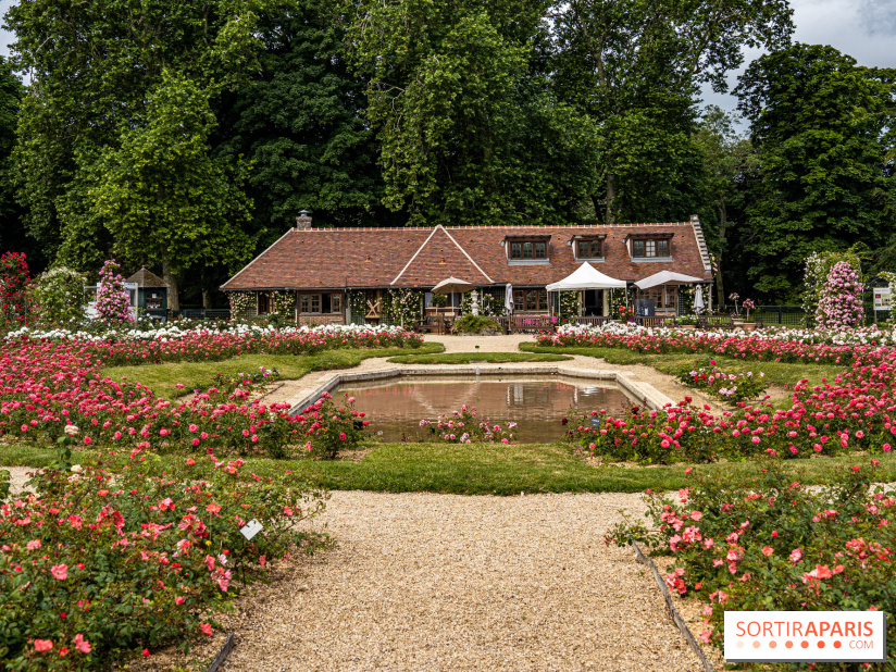 Photos : La Roseraie du val-de-Marne
