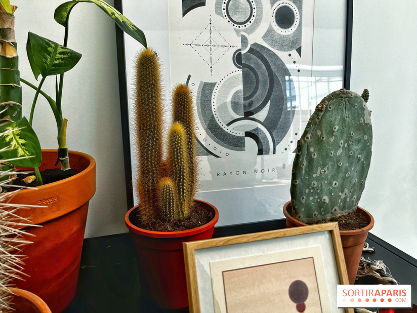 Rayon Noir, le salon de tatouage et de design moderne et accueillant du 12e arrondissement