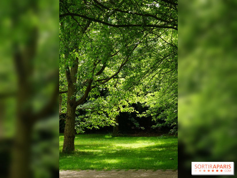 Arboretum de la Vallée-aux-Loups, une balade au milieu des arbres remarquables