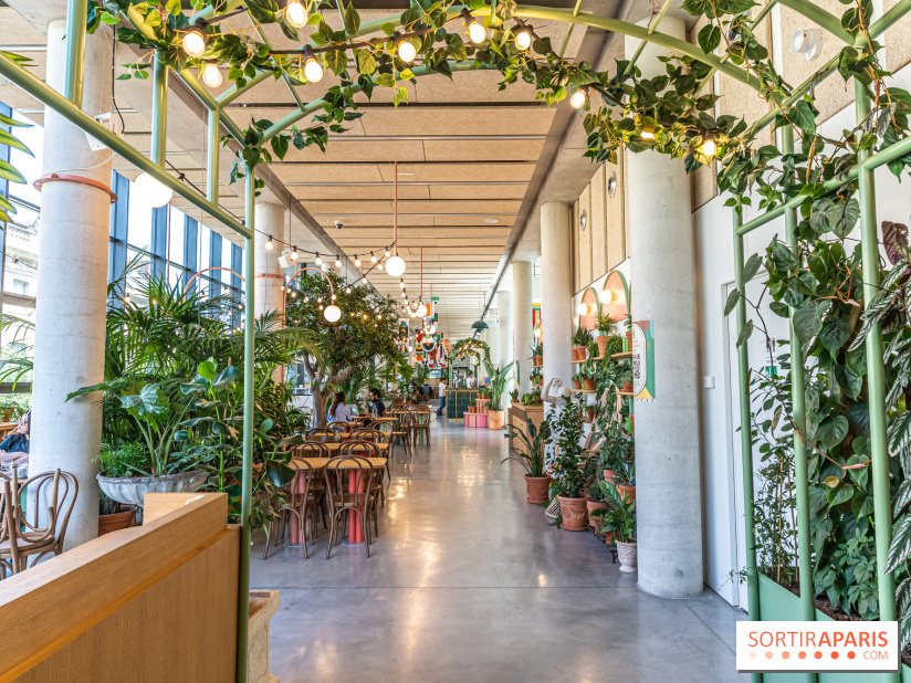 Titi Palacio, bar-restaurant festif à la Félicité 