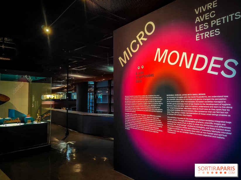 Micro mondes, une exposition à découvrir à la loupe au musée du Quai Branly, nos photos