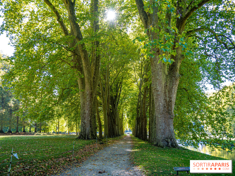 Parc et Domaine du Château de Courances
