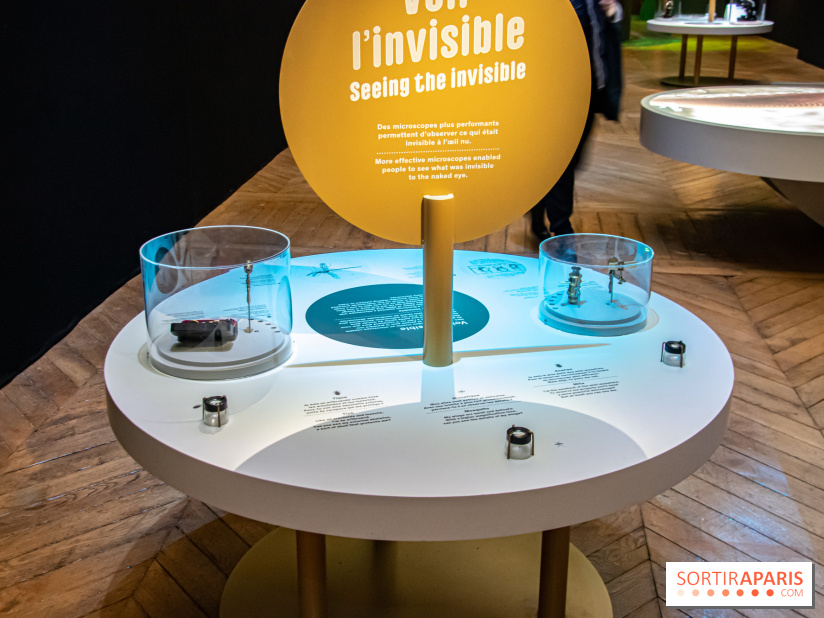 Mini-monstres, nos photos de l'exposition à la galerie de Géologie du Muséum d'Histoire naturelle