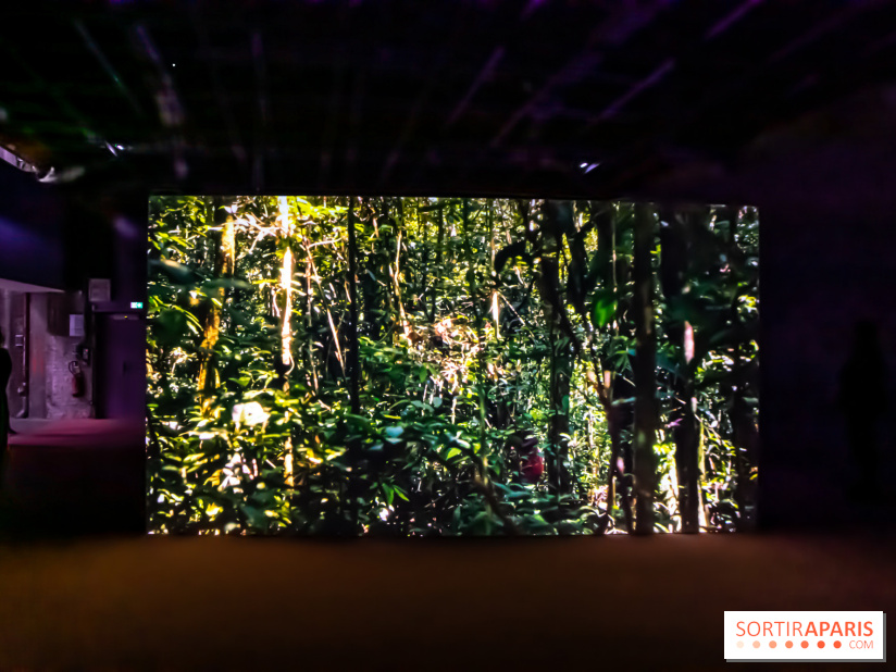 Exposition au Palais de Tokyo : Shéhérazade, la nuit - nos photos