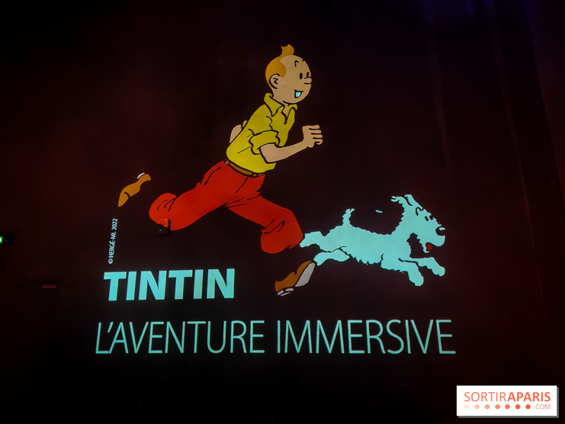 Tintin, l'aventure immersive à l'Atelier des Lumières : l'exposition insolite à vivre - nos photos