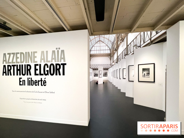 Azzedine Alaïa. Arthur Elgort. En liberté
