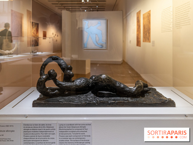 Picasso et la Préhistoire, les photos de l'exposition au Musée de l'Homme