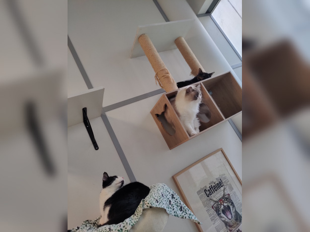 Le Moustache Pension - IMG20221226144447