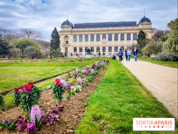 Félins, l'exposition qui nous fait craquer au Muséum national d'Histoire naturelle - photos - IMG20230321111256