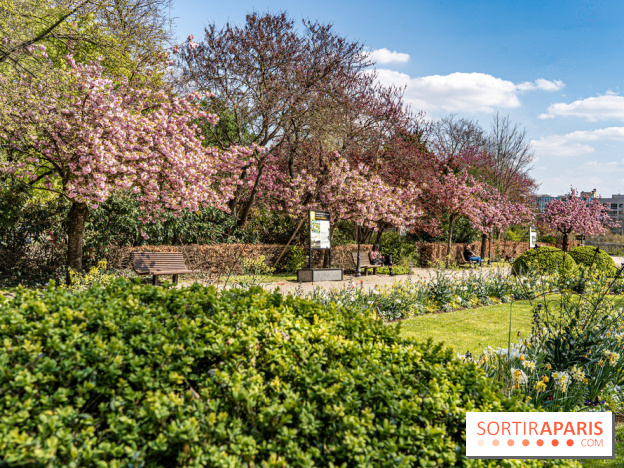 Parc de Bécon à Courbevoie - Pavillon des Indes - Cerisiers en fleurs