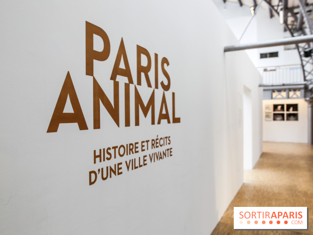 Paris Animal, nos photos de l'expo à Paris