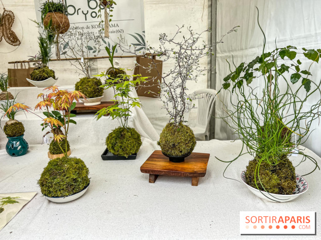 Esprit Jardin à Versailles - Marché aux plantes et animations  - IMG 6098