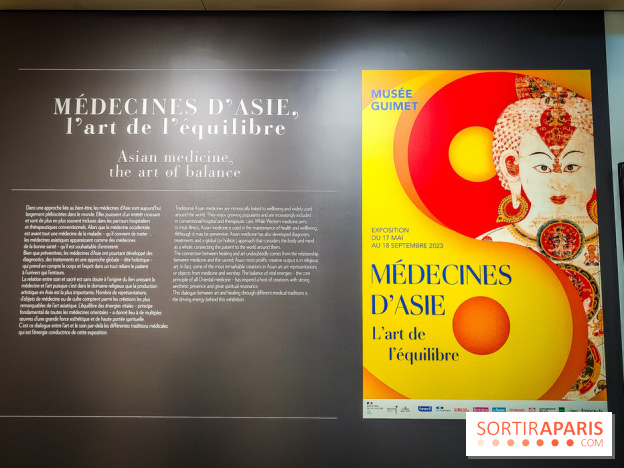 Médecines d'Asie, l'art de l'équilibre : l'exposition bien-être étonnante du musée Guimet - photos