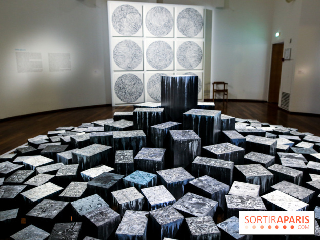 Carte blanche à Park Dong Soo au musée Guimet, nos photos - IMG 0095