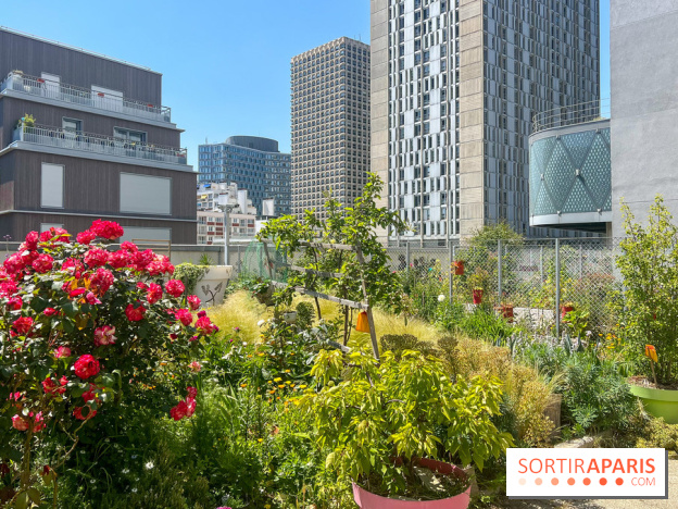 Jardins partagés (toit Beaugrenelle) - image00002
