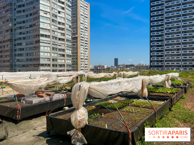 Les toits de Beaugrenelle - image00006