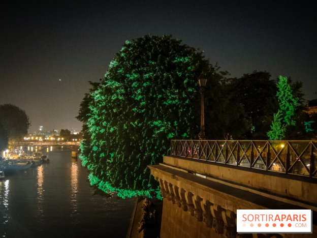 Nuit Blanche 2023 : des projections lumineuses magiques au Square du Vert Galant de l'Île de la Cité - IMG20230603001042