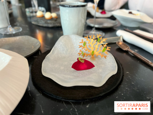 L'Ours - Amuse-bouche