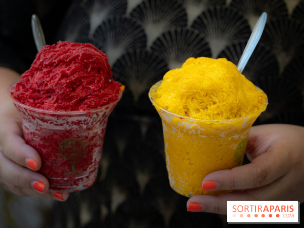 Granités-Neige de Jade Génin, l'Été Sous le Signe du Kakigori Réinventé -  A7C7553