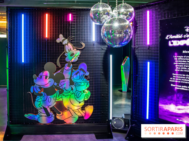 Disney 100 L'Amitié c'est Merveilleux