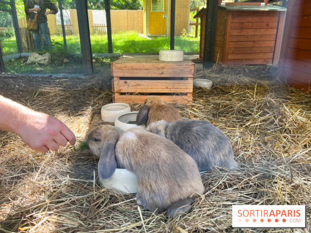 La ferme de la Villette et ses animaux