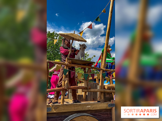 L'Été Gaulois au Parc Astérix  - IMG 9388