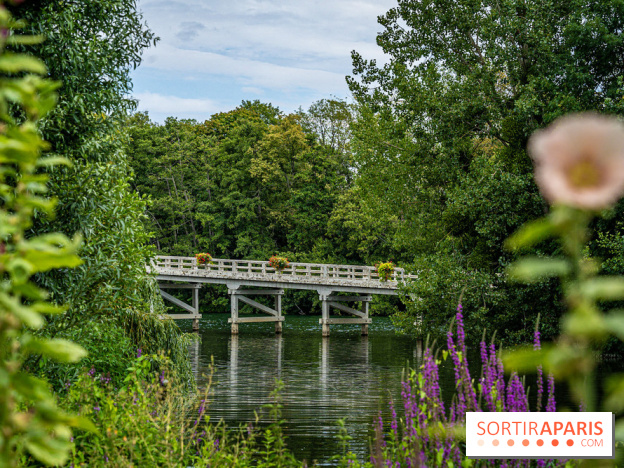 Samois-sur-Seine - Village de Caractère - Seine-et-Marne -  A7C9273