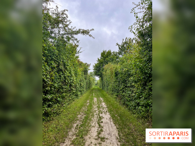 Le parc de la Haute-Île à Neuilly-sur-Marne - image00001