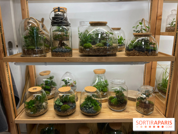 Boby la Plante