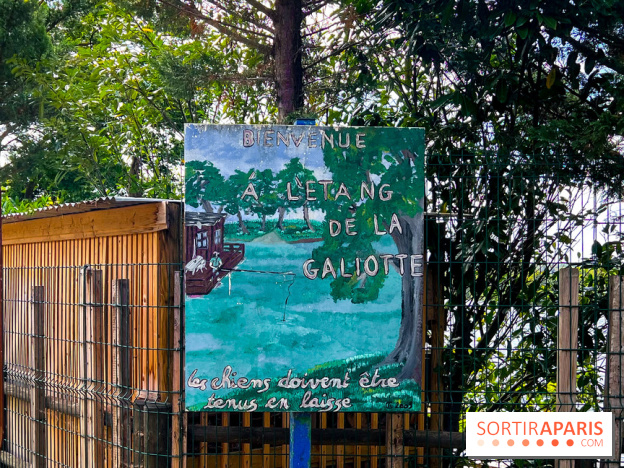 L'étang de la Galiotte dans le parc du Peuple de l'Herbe - Carrières-sous-Poissy (Yvelines) - image00005
