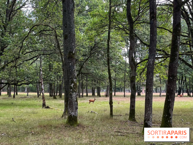 Espace Rambouillet