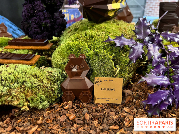 Alain Ducasse - Chocolats de Noël 2023 - 1D457CCD 35EE 42A9 B289 B94B4C0D8FC9