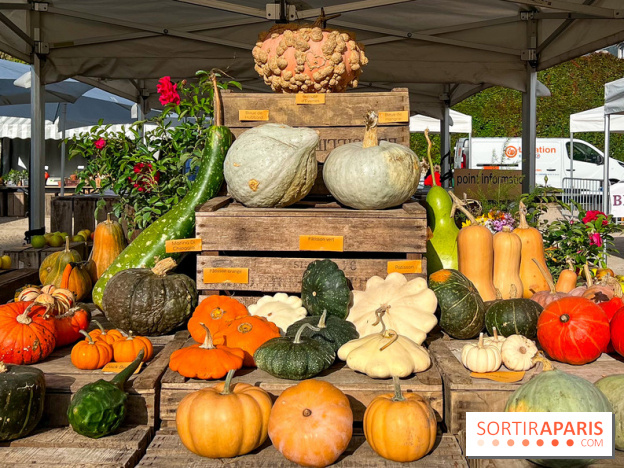 Automne au Potager du Roi - Citrouilles - Halloween