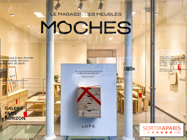 Exposition insolite et gratuite dédiée aux meubles moches  - image00001