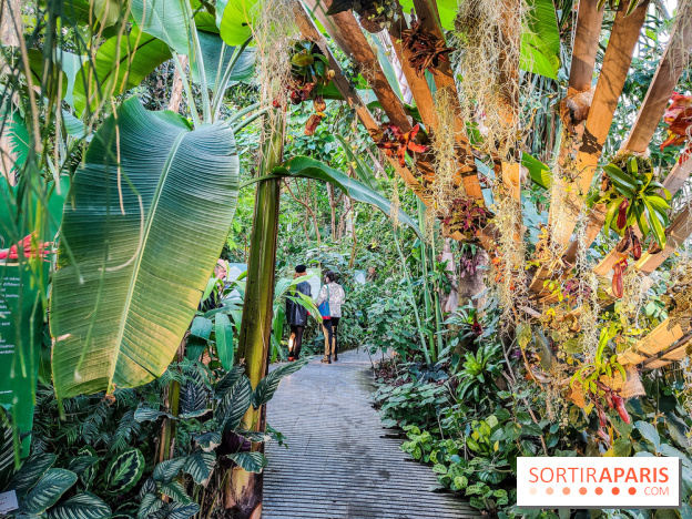 Automne Tropical 2023