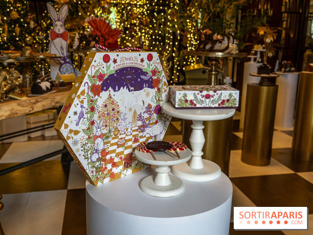 Bûches de Noël 2023 et galette 2024 de Lenôtre  - A7C0836