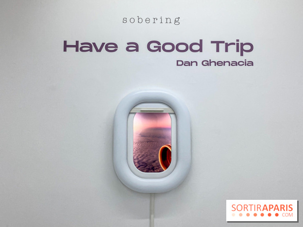 Exposition immersive Have a Good Trip Dan Ghenacia Sobering Galerie