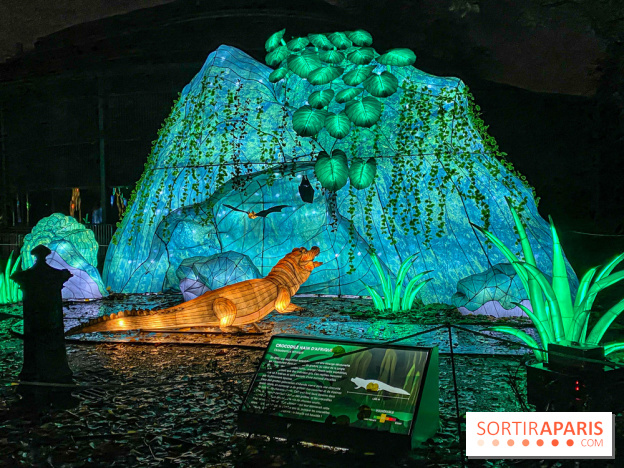 Jungle en voie d'illumination Jardin des Plantes