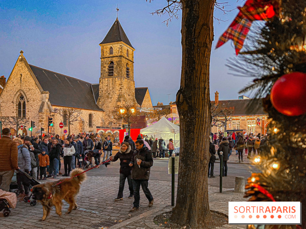Le Marché de Noël 2023 du Perray-en-Yvelines - image00023