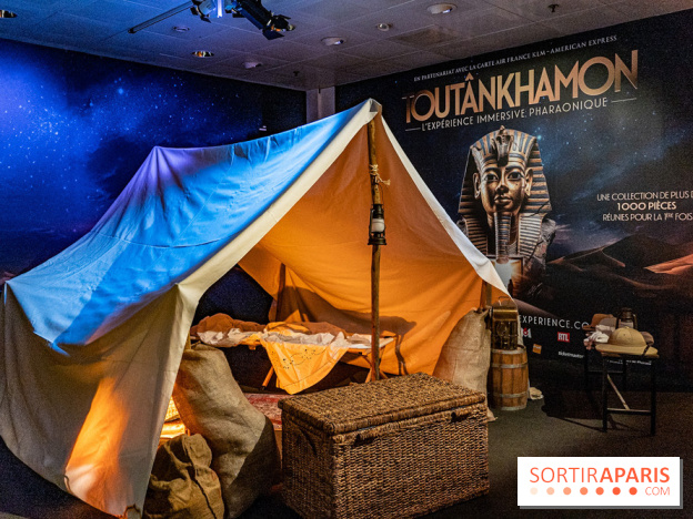 Toutankhamon, l'expérience immersive Pharaonique - les photos -  A7C4199 HDR