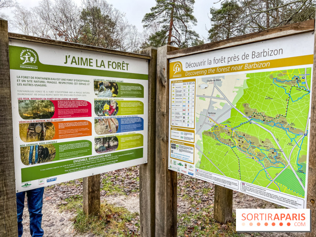 Le sentier de l'érosion à Fontainebleau - balade en forêt - IMG 6595