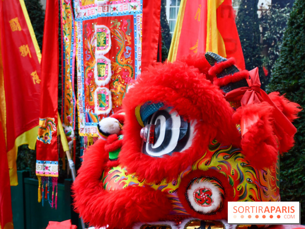 Visuels Nouvel An Lunaire / Nouvel An Chinois - DSC 0669