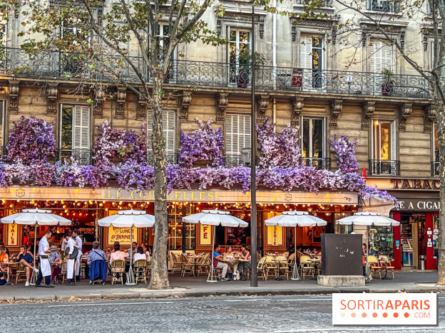 Visuel Paris 17e - IMG 1120