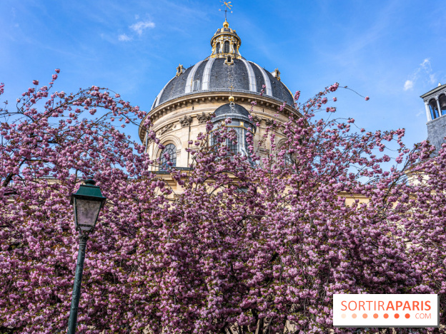 Square Gabriel Pierné à Paris - cerisiers en fleurs
