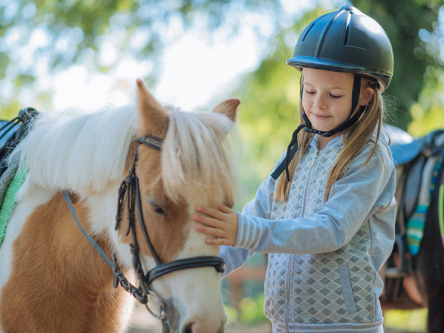 La journée des champions à l'Hippodrome Paris-Vincennes - 2