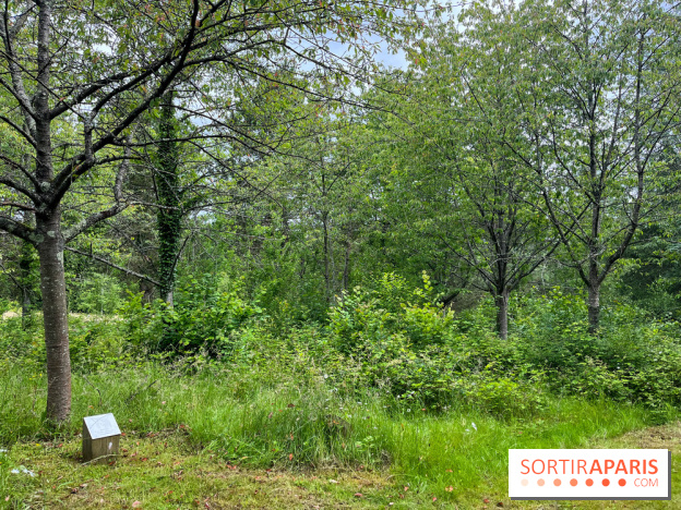 Arboretum de la Roche-Guyon - nos photos - image00015