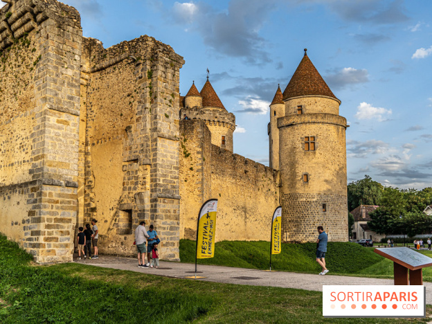 Le Château de Blandy-les-Tours en Seine-et-Marne (77), nos photos -  A7C7946
