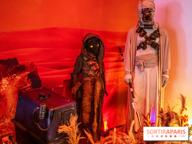 Star Wars : Fans of the Galaxy, l'expo à découvrir dans une galaxie lointaine, très lointaine